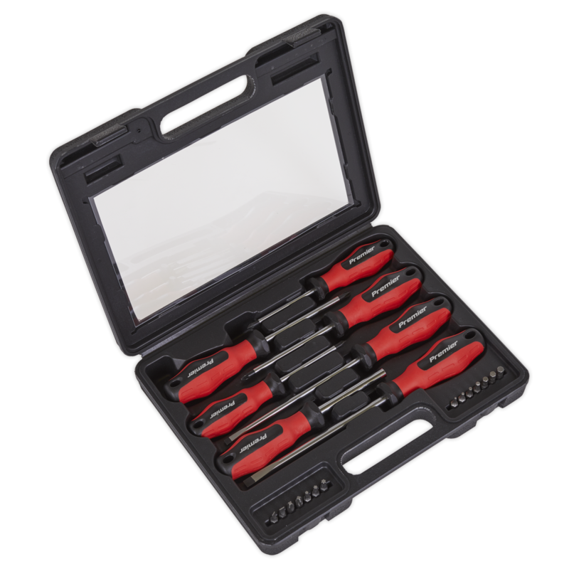 Set Surubelnite Si Bit-uri, 25 Piese, Sealey - Surubelnite - Simple Tools