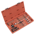 Dispozitiv Pentru Extragerea Bujiilor Rupte, Sealey - Recuperatoare/Extractoare si Prese - Simple Tools