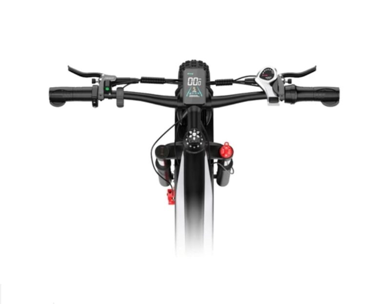 Bicicleta electrica DUOTTS F26 - 750W x 2 motoare Culoare - Gri