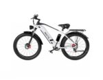 Bicicleta electrica DUOTTS F26 - 750W x 2 motoare Culoare - Gri