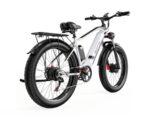 Bicicleta electrica DUOTTS F26 - 750W x 2 motoare Culoare - Gri