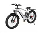 Bicicleta electrica DUOTTS F26 - 750W x 2 motoare Culoare - Gri