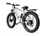 Bicicleta electrica DUOTTS F26 - 750W x 2 motoare Culoare - Gri