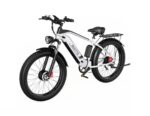 Bicicleta electrica DUOTTS F26 - 750W x 2 motoare Culoare - Gri