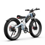 Bicicleta electrica DUOTTS N26