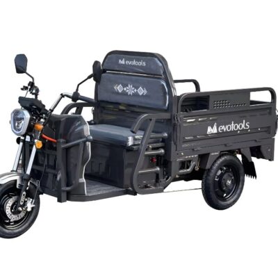 Triciclu Electric Cargo Balaur TRCC1000