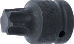 Bit de impact Torx T100