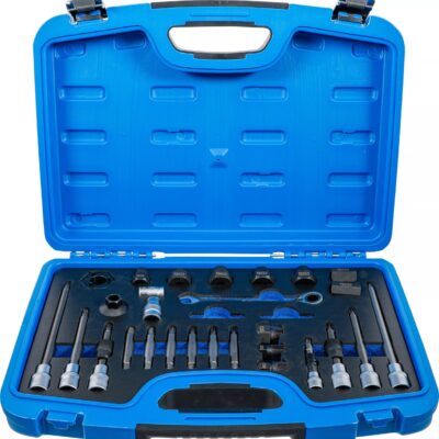 Set demontat fulii alternator