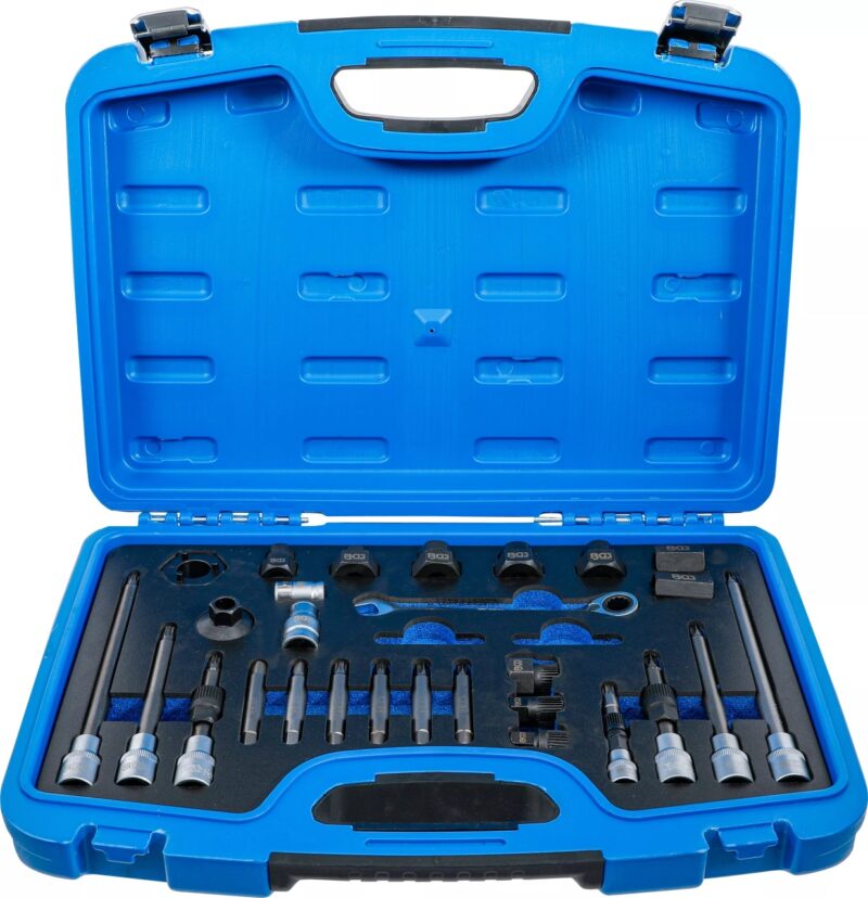 Set demontat fulii alternator