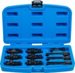 Set extractor rotor pentru motociclete, 10 piese, BGS 7748