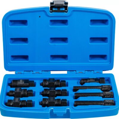 Set extractor rotor pentru motociclete, 10 piese, BGS 7748