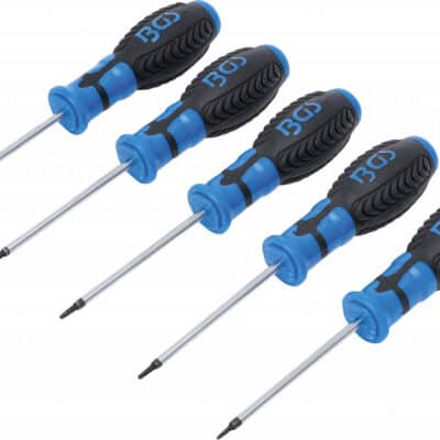 Set şurubelniţe Profil Torx cu gaura T6 - T10